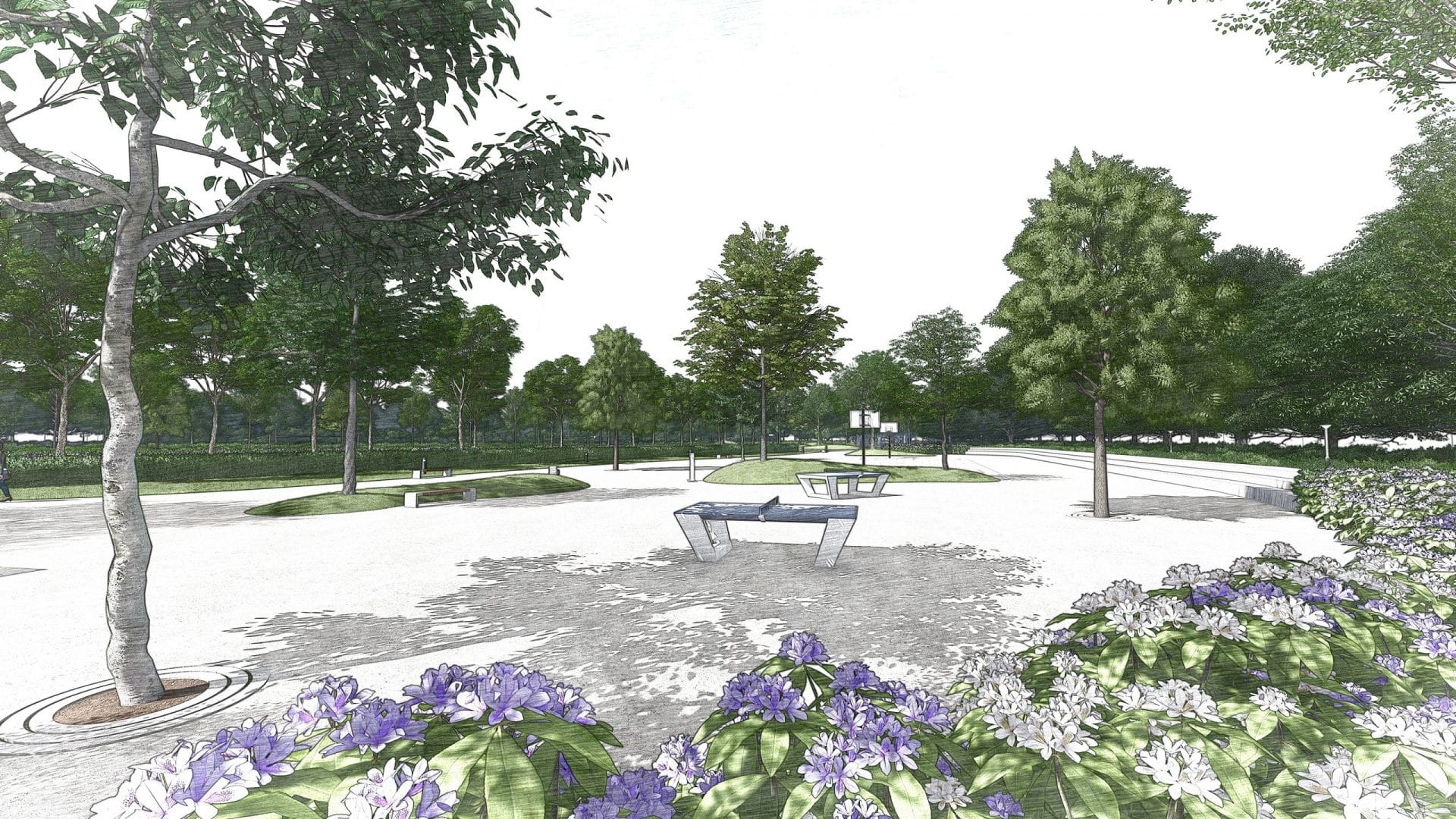 3D Render Landscape Sports Park